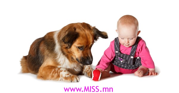 dogs-make-babies-healthy-2